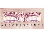 Arborescence